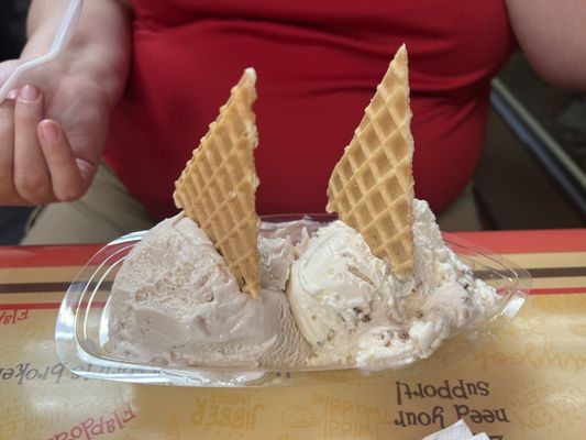 Flapdoodles Ice Cream by null