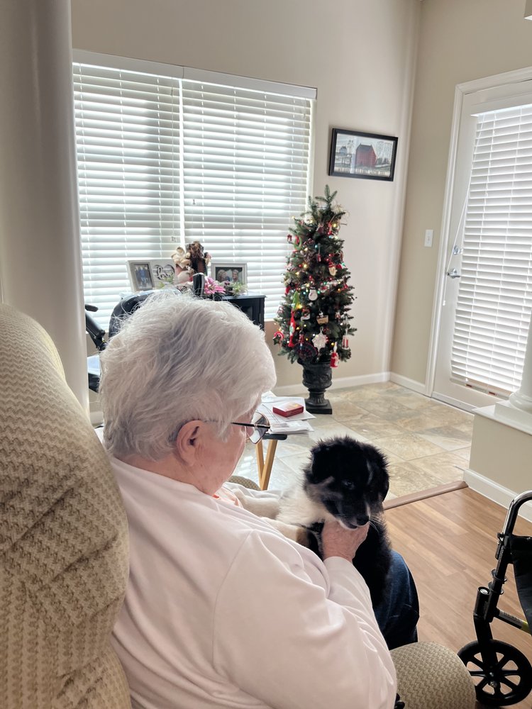 20 Photos Land O' Lakes, Florida Pet Stores Phone Number Yelp