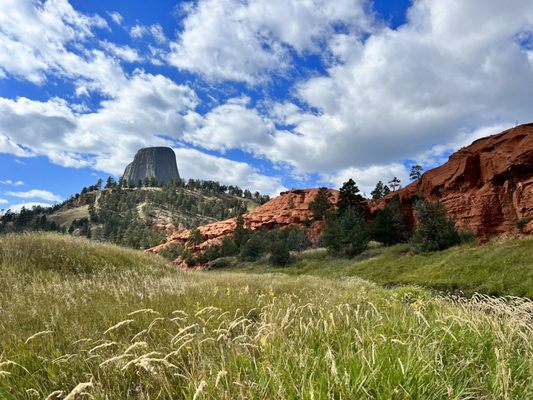 Devils Tower National Monument by null
