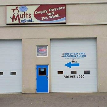 Mutts Adored - Pet Sitting Near Me - Stony Plain, Alberta Mutts Adored - Pet Sitting Near Me - Stony Plain, Alberta
