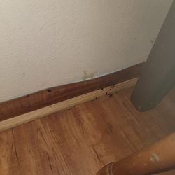 Outback Campground & Marina - Roaches by kitchen table
