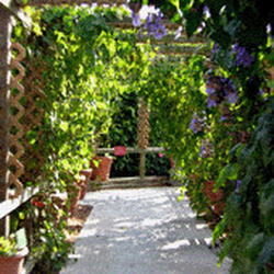 Shopwyke Nurseries