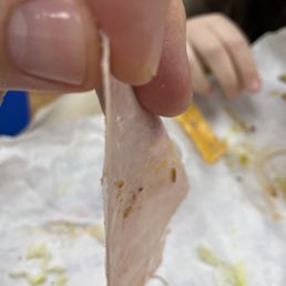 Your printer paper is thicker than this ham.
