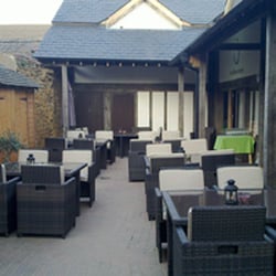 The Olive Lounge