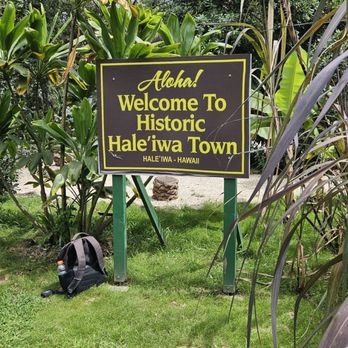 Hawaii Turtle Tours - Tours Near Me - Honolulu, Hawaii Hawaii Turtle Tours - Tours Near Me - Honolulu, Hawaii