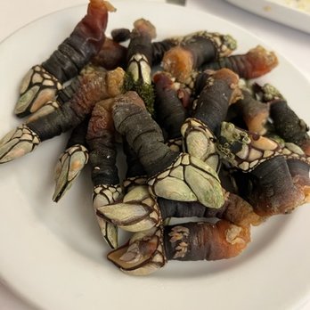 Cervejaria Ramiro - gooseneck barnacles - Seafood Near Me - Lisbon, 11