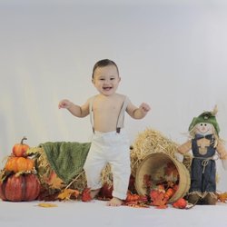 Stelle Memories - Fall minis