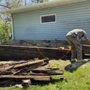 Photo of Jose Tree Service