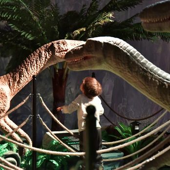 Jurassic Gardens - Museums Near Me - Volo, Illinois Jurassic Gardens - Museums Near Me - Volo, Illinois