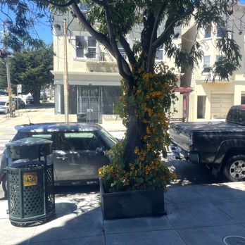 Matching Half Cafe - Coffee & Tea Near Me - San Francisco, California