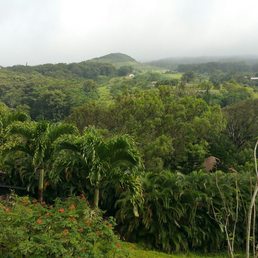 The view from the house. The view from the house.