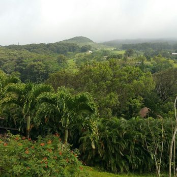 Maui Tradewinds - The view from the house. - Bed & Breakfast Near Me - Haiku, Hawaii Maui Tradewinds - The view from the house. - Bed & Breakfast Near Me - Haiku, Hawaii