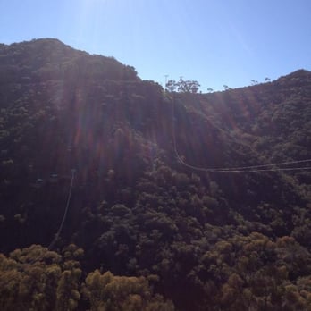 Catalina Expeditions - Catalina Expedition Zip Line - Tours Near Me - Avalon, California