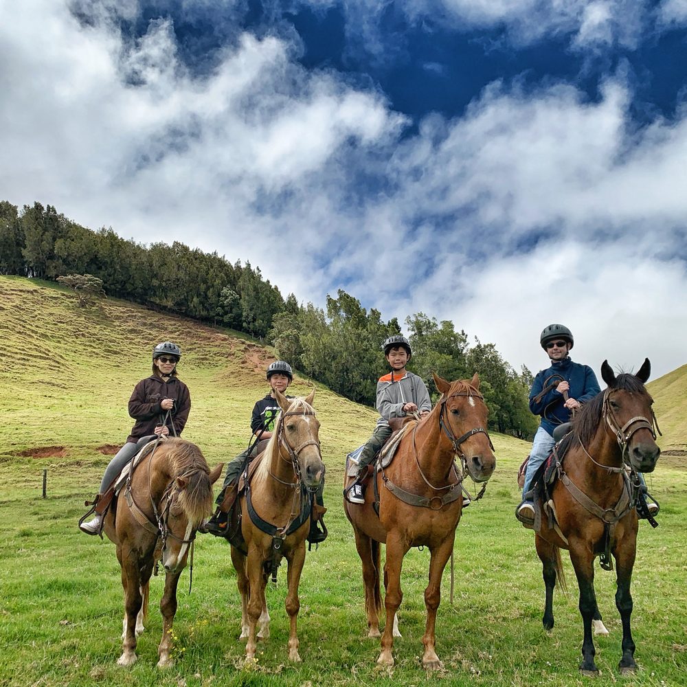 Amazing horses and beautiful views! Amazing horses and beautiful views!