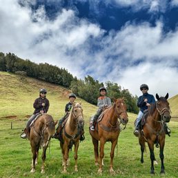 Amazing horses and beautiful views!