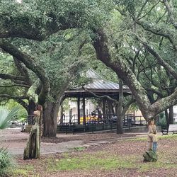 Seville Square Park - 08-24-2022