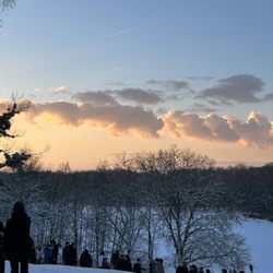 Beethovenpark