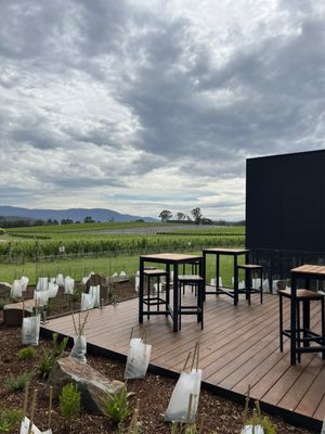 Oakridge Wines by null