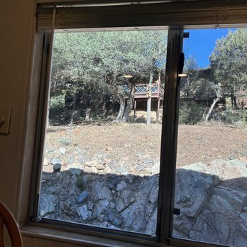 Bob's Tree and Landscaping - That's overgrown scrabble is beginning to have a new life of its own. Mistletoe is gone ,dead branches removed. - Landscaping Near Me - Camp Verde, Arizona