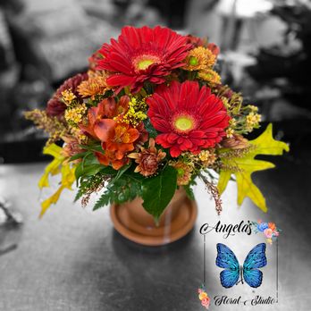 Angela's Floral Studio - Gerber daisy pot - Florists Near Me - Pierson, Florida Angela's Floral Studio - Gerber daisy pot - Florists Near Me - Pierson, Florida