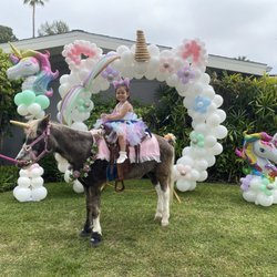 Ponies For Parties - Cutest unicorn pony!!!