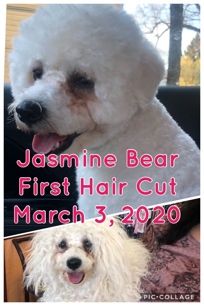 WINE COUNTRY PET BOUTIQUE & SPA 34 Photos & 11 Reviews 21278