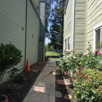 R's Tree Care - LOVE...Trees all gone! - Tree Services Near Me