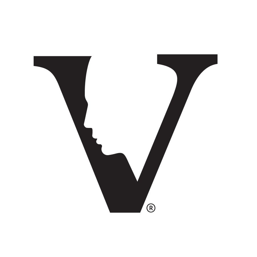 Visage Sculpture Logo
