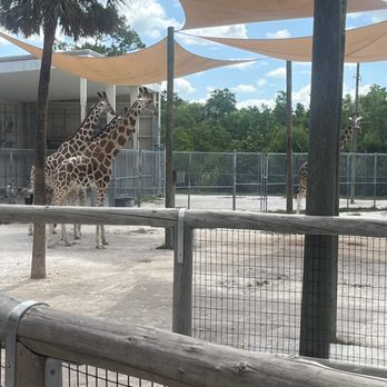 Naples Zoo - Zoos Near Me - Naples, Florida