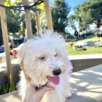 Newbark Dog Park - Dog Parks Near Me - Newark, California Newbark Dog Park - Dog Parks Near Me - Newark, California