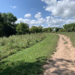Outagamie Dog Park