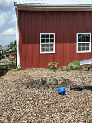 Homestead Farm by null