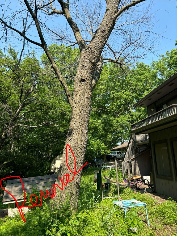 Contract Tree Worker - tree service in Topeka, KS