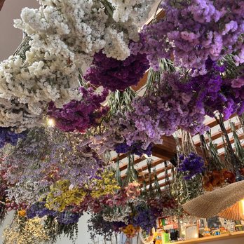 Thumbs Up Flowers - Flowers & Gifts Near Me - Costa Mesa, California Thumbs Up Flowers - Flowers & Gifts Near Me - Costa Mesa, California