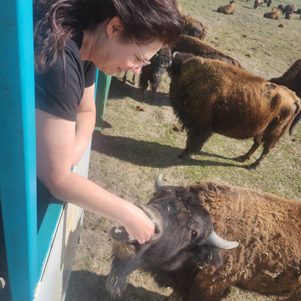 Terry Bison Ranch Resort - Love at first site - Venues & Event Spaces Near Me - Cheyenne, Wyoming