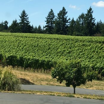 Failla - Failla, Oregon: vineyards - Wineries Near Me - Saint Helena, California