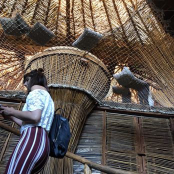 Kin Toh - Yucatan Near Me - Tulum, ROO Kin Toh - Yucatan Near Me - Tulum, ROO