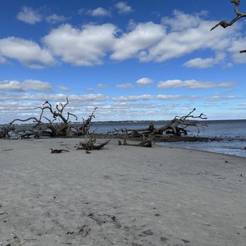Driftwood Beach - Beaches Near Me - Jekyll Island, Georgia Driftwood Beach - Beaches Near Me - Jekyll Island, Georgia