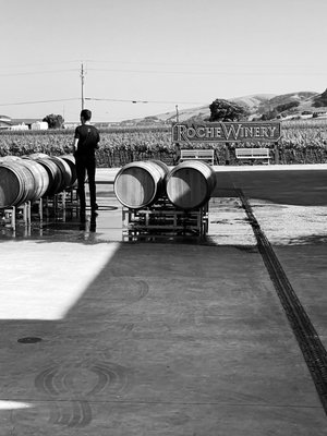 Roche Winery & Vineyards by null