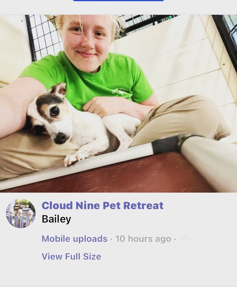 Cloud Nine Country Kennels - pet boarding facility in Macungie, PA