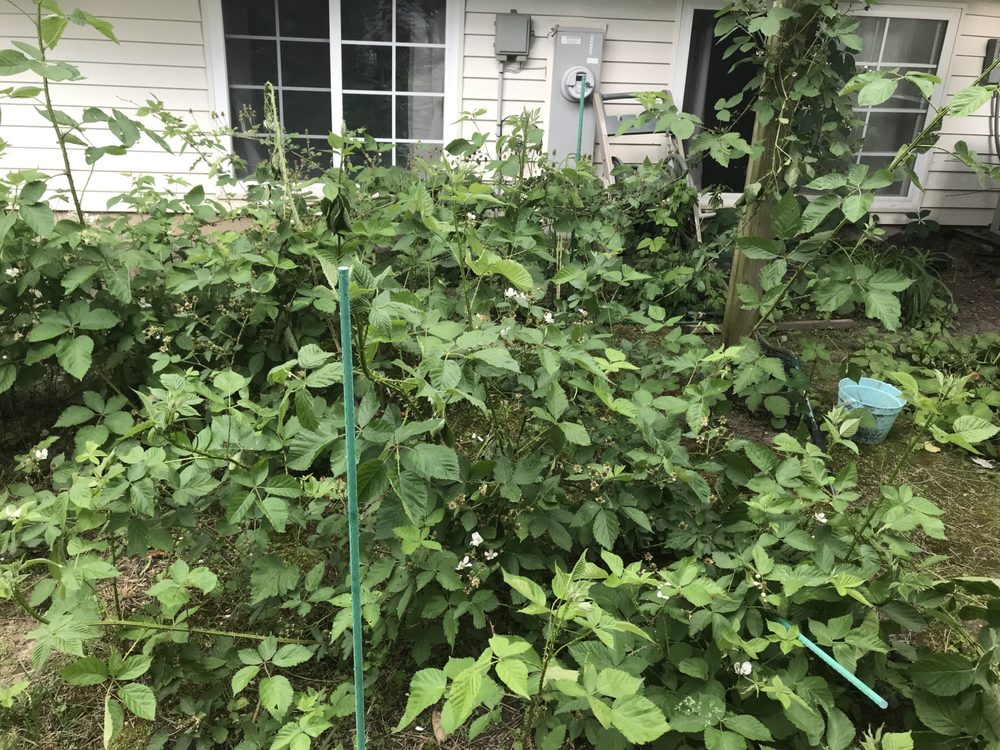 TOWNSEND MANAGEMENT Updated June 2024 13 Reviews 2179 Sycamore Rd