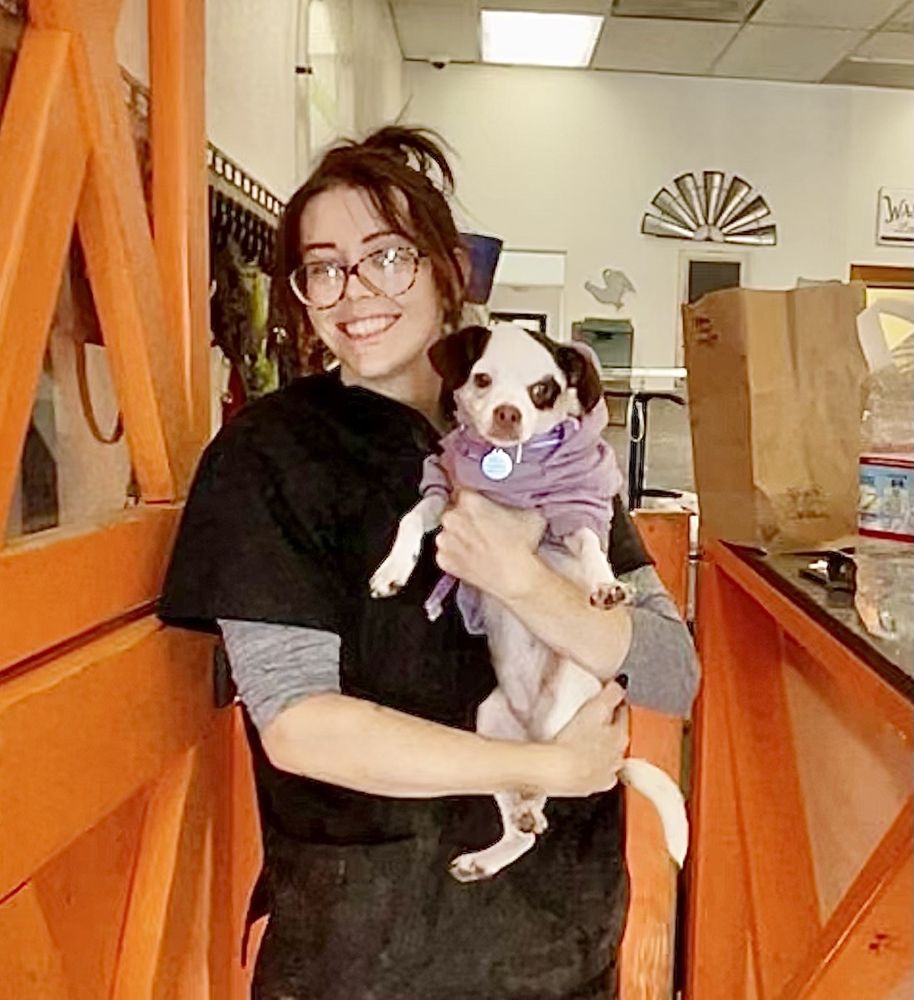 DOGGIE DOS 225 Photos & 394 Reviews 5575 Baltimore Dr, La Mesa, California Pet Groomers