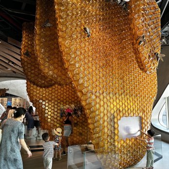 Richard Gilder Center for Science - Museums Near Me - New York, New York Richard Gilder Center for Science - Museums Near Me - New York, New York