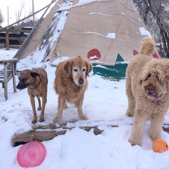 Walkin' The Dog - Pet Boarding Near Me - Avon, Colorado