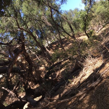 Whiting Ranch Wilderness Park - Parks Near Me - Foothill Ranch, California Whiting Ranch Wilderness Park - Parks Near Me - Foothill Ranch, California