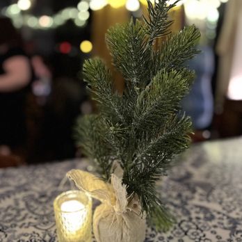 Uliveto - a small pine tree in a vase on a table - Mediterranean Near Me - Richmond, Virginia