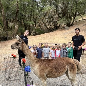 Wilderness Cubs - Kids Activities Near Me - Ross, California Wilderness Cubs - Kids Activities Near Me - Ross, California
