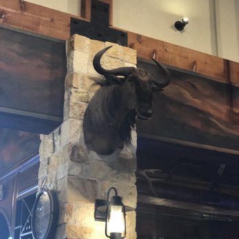 Eduardo's BBQ Steaks & Mexican Grill - He certainly doesn't look happy up there. - Mexican Near Me - Laredo, Texas Eduardo's BBQ Steaks & Mexican Grill - He certainly doesn't look happy up there. - Mexican Near Me - Laredo, Texas