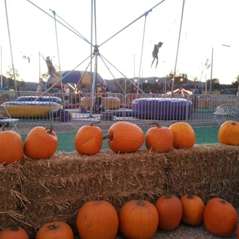 ABC Tree Farms - Christmas Trees Near Me - Temecula, California