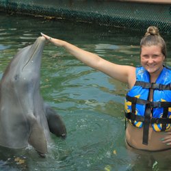 Dolphin Discovery Dreams Puerto Aventuras - Best to do the whole experience with the dolphin swim, manatee's and seals!